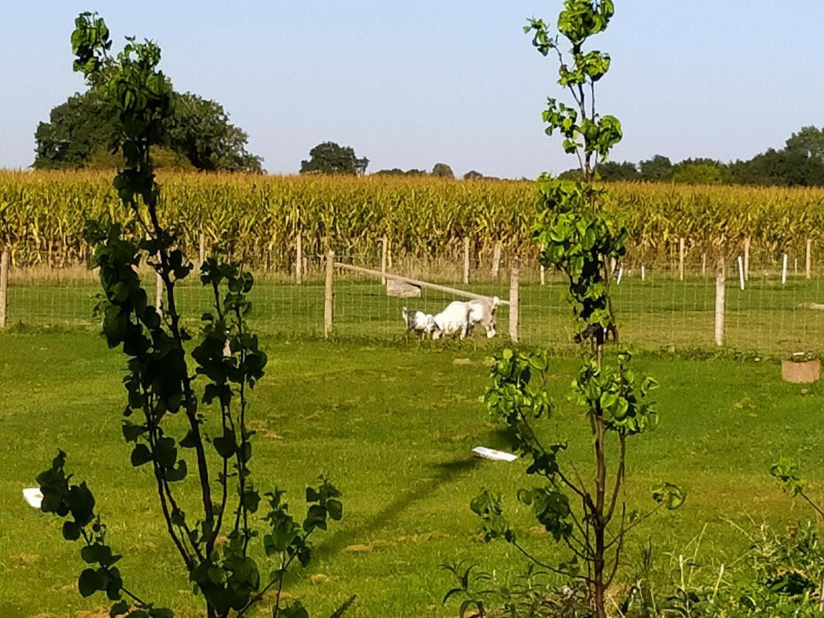 De Vrije Wei Broekland (Gelderland) Exteriör bild